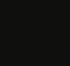 ACC_Website_BackgroundTexture